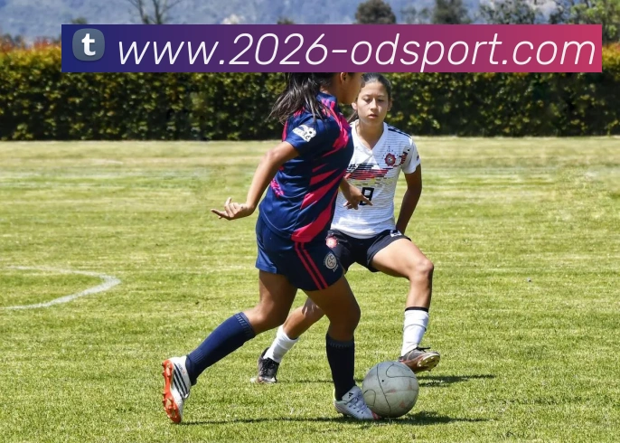 OD体育发展历程