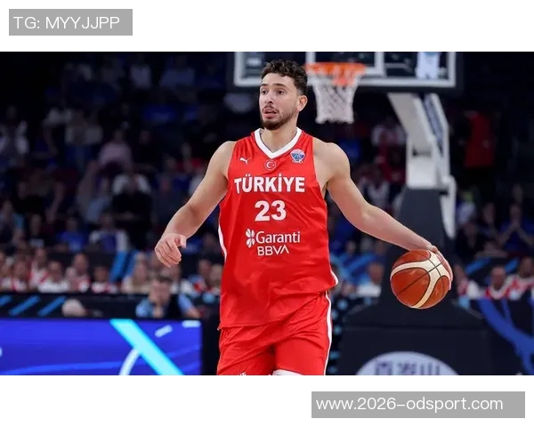 本赛季NBA正负值排行榜揭晓约基奇领跑哈克斯米切尔申京紧随其后