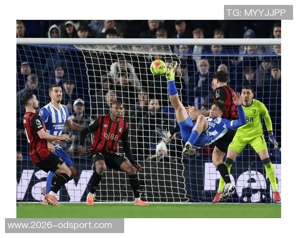 赫罗纳队长盛赞特狮称其为顶级球员期待提升球队实力受欢迎