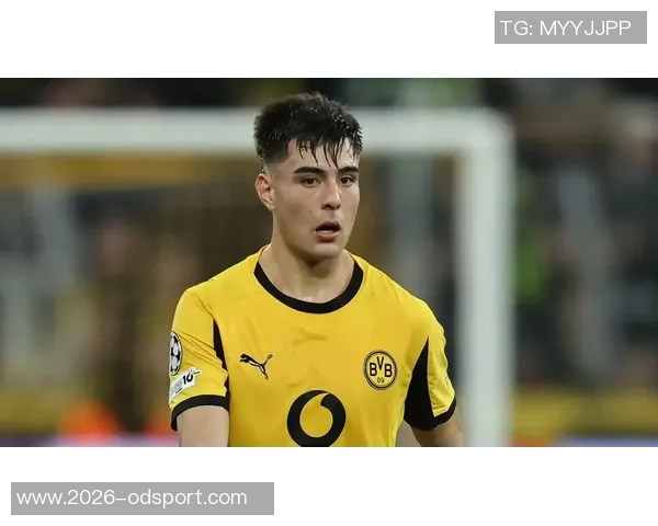 切尔西迅速召回安塞尔米诺德天空确认这一重要消息 切尔西迅速召回安塞尔米诺德天空确认这一重要消息